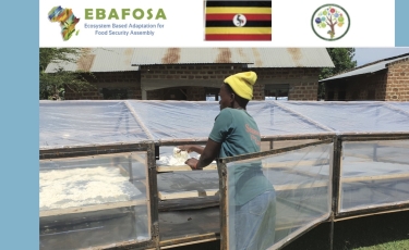 Solar dryer Feasibility Report for Uganda