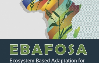 EBAFOSA Report 2019