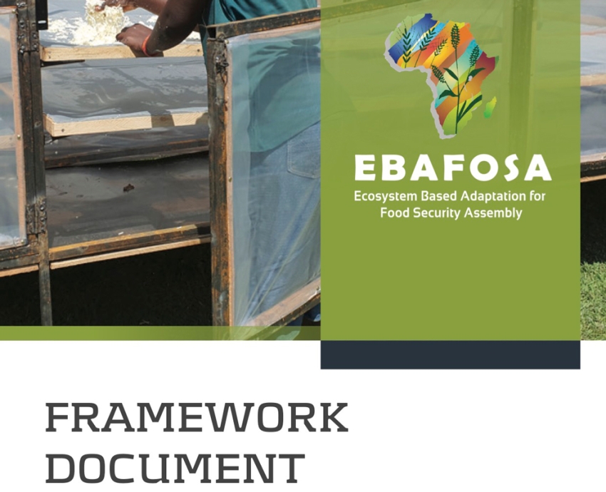 Ebafosa Framework Document