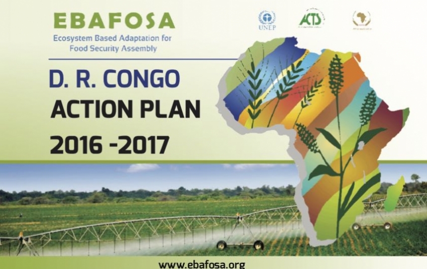 dr-congo-action-plan