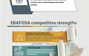 How does EBAFOSA work?