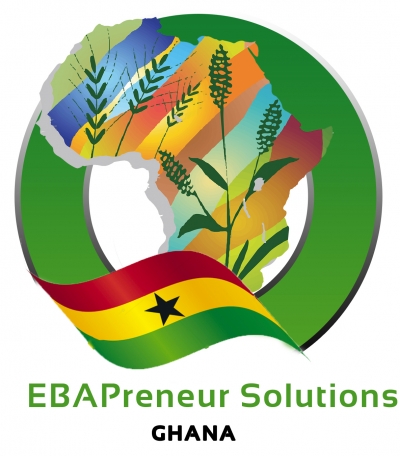 EBAPreneur Solutions - Ghana