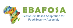 EBAFOSA Logos