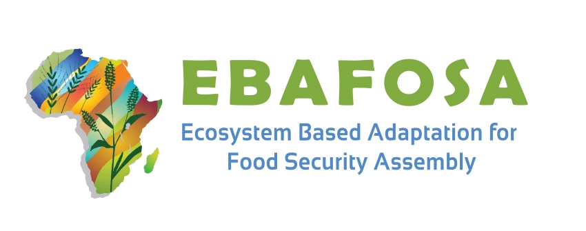 EBAFOSA Logos