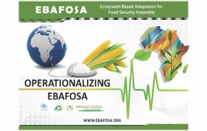 EBAFOSA Strategic layout
