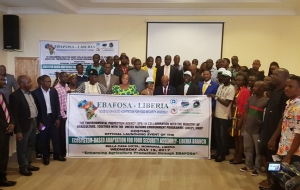 Liberia launch Photos