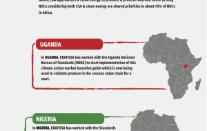 Market incentives for climate action: