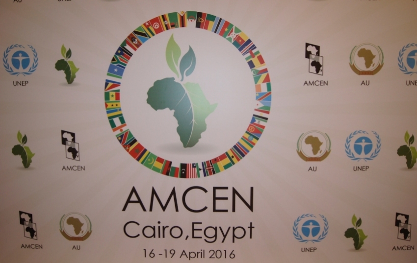 Outcomes of AMCEN Special Session and Implications for Africa