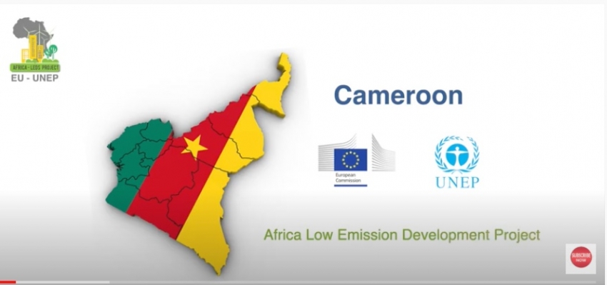driving-climate-action-in-cameroon