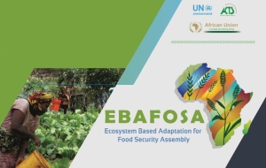What is EBAFOSA