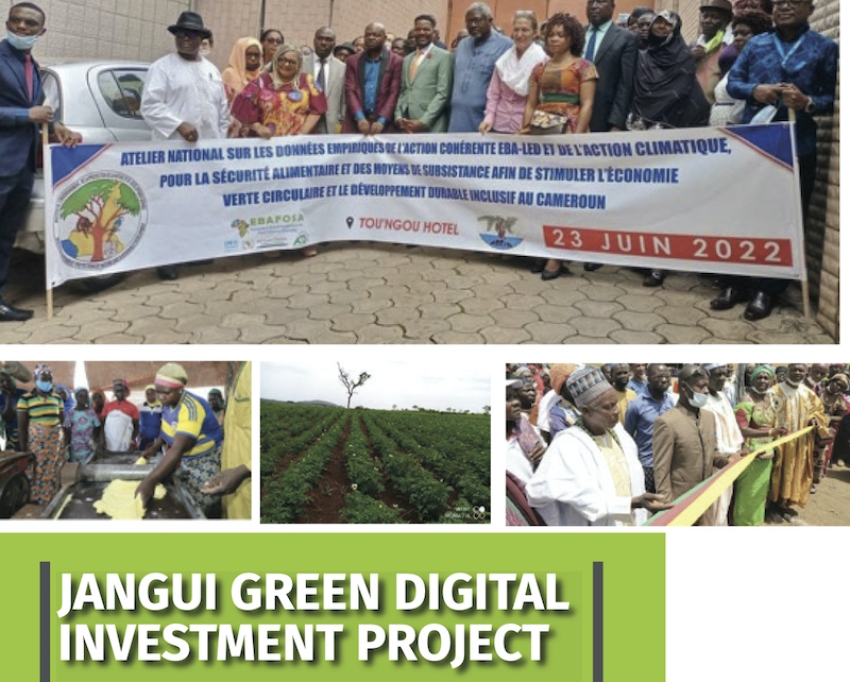 jangui-green-digital-investment-project