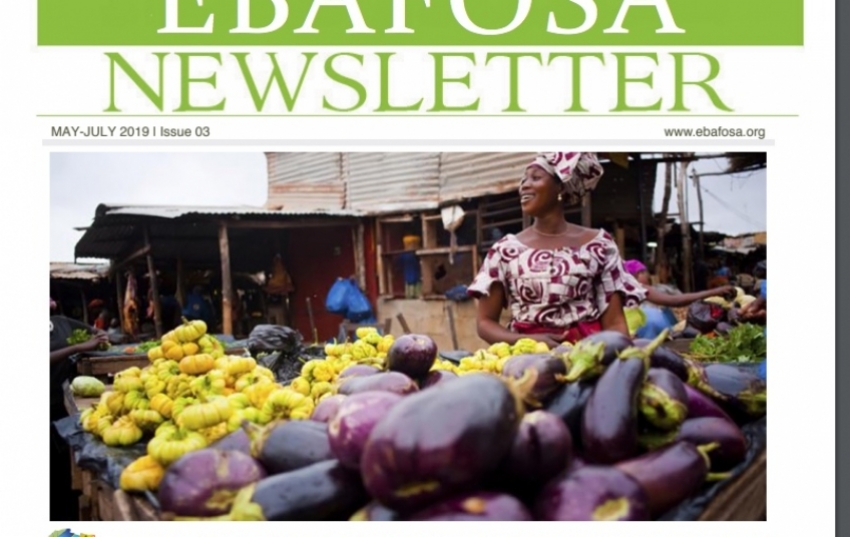 ebafosa-perspective-issue-3