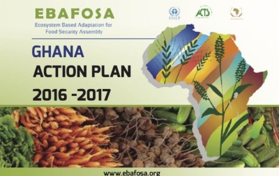 Ghana Action Plan