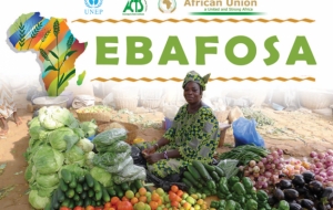 EBAFOSA  Brochure
