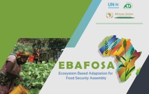 1st Anniversary of EBAFOSA