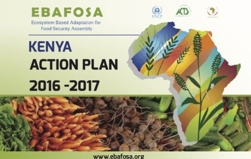 kenya-action-plan